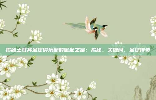 揭秘土耳其足球俱乐部的崛起之路：揭秘、关键词、足球传奇