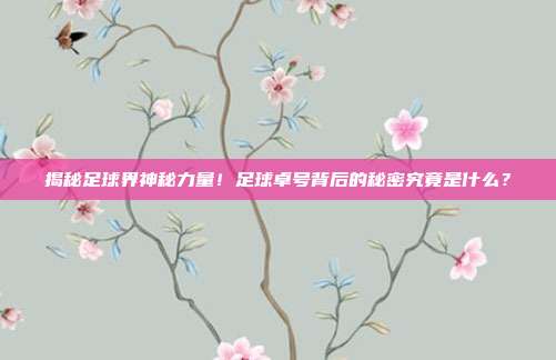 揭秘足球界神秘力量！足球卓号背后的秘密究竟是什么？