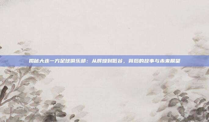 揭秘大连一方足球俱乐部：从辉煌到低谷，背后的故事与未来展望