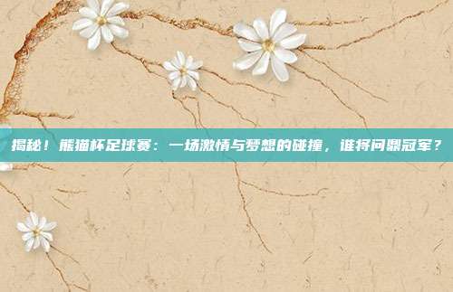 揭秘！熊猫杯足球赛：一场激情与梦想的碰撞，谁将问鼎冠军？