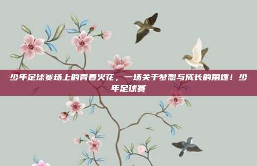 少年足球赛场上的青春火花,一场关于梦想与成长的角逐!少年足球赛
