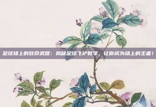 足球场上的致命武器:揭秘足球飞铲教学,让你成为场上的王者!