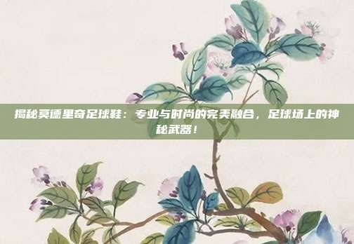 揭秘莫德里奇足球鞋：专业与时尚的完美融合，足球场上的神秘武器！