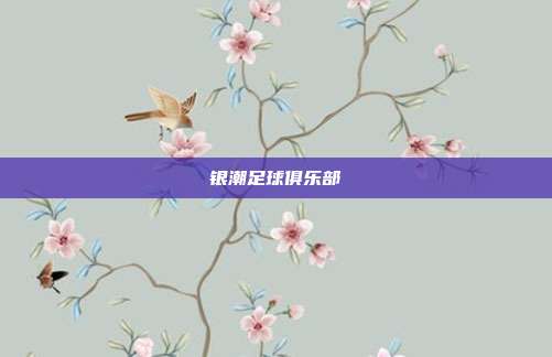 银潮足球俱乐部