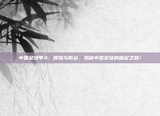 中国足球甲A：辉煌与低谷，揭秘中国足球的崛起之路！