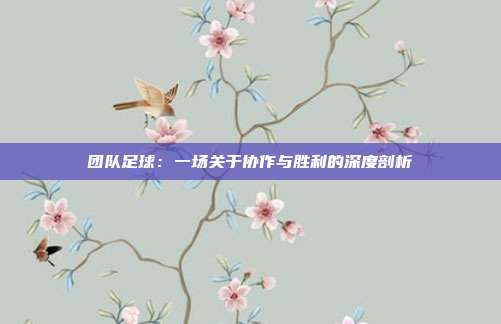 团队足球：一场关于协作与胜利的深度剖析