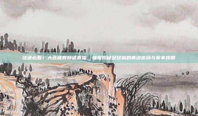 球迷必看！大连体育频道直播，独家揭秘足球城的青训密码与赛事排期