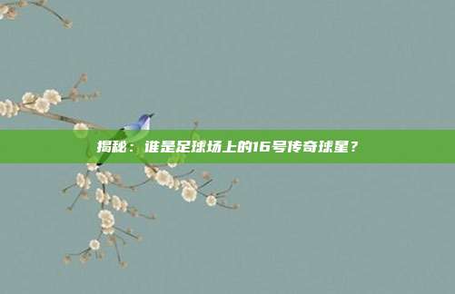 揭秘：谁是足球场上的16号传奇球星？