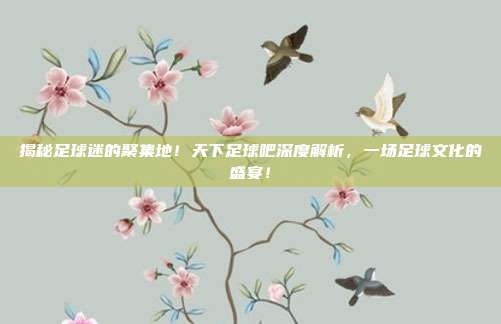 揭秘足球迷的聚集地！天下足球吧深度解析，一场足球文化的盛宴！