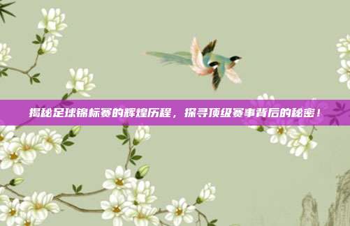 揭秘足球锦标赛的辉煌历程，探寻顶级赛事背后的秘密！