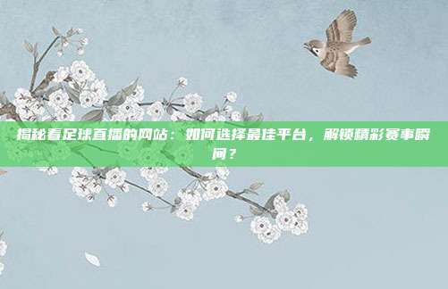 揭秘看足球直播的网站：如何选择最佳平台，解锁精彩赛事瞬间？