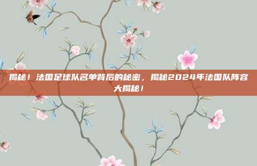揭秘！法国足球队名单背后的秘密，揭秘2024年法国队阵容大揭秘！