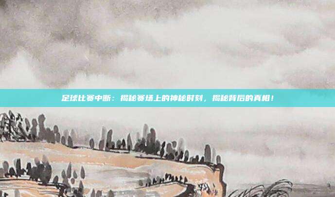 足球比赛中断：揭秘赛场上的神秘时刻，揭秘背后的真相！