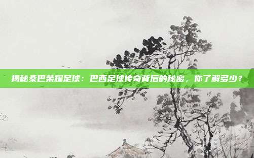 揭秘桑巴荣耀足球:巴西足球传奇背后的秘密,你了解多少?
