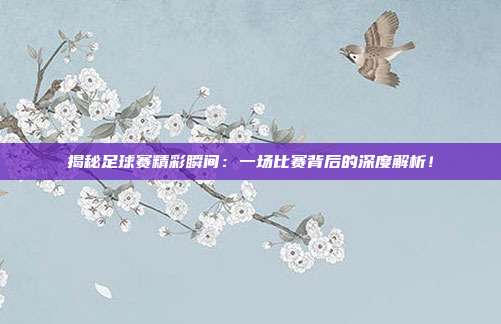 揭秘足球赛精彩瞬间：一场比赛背后的深度解析！