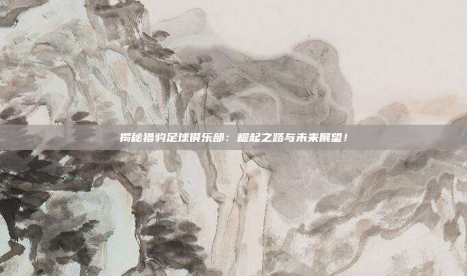 揭秘猎豹足球俱乐部：崛起之路与未来展望！