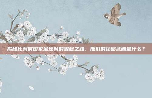 揭秘比利时国家足球队的崛起之路，他们的秘密武器是什么？
