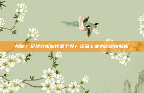揭秘！足球分析软件哪个好？资深专家为你深度解析