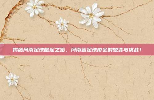 揭秘河南足球崛起之路，河南省足球协会的蜕变与挑战！
