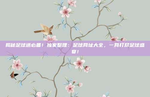 揭秘足球迷必备!独家整理:足球网址大全,一网打尽足球盛宴!