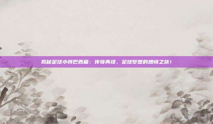 揭秘足球小将巴西篇：传奇再续，足球梦想的燃情之旅！