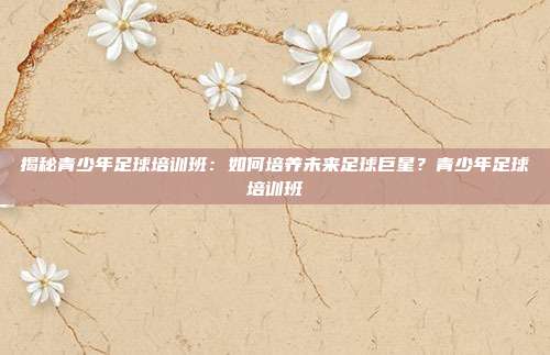 揭秘青少年足球培训班：如何培养未来足球巨星？青少年足球培训班