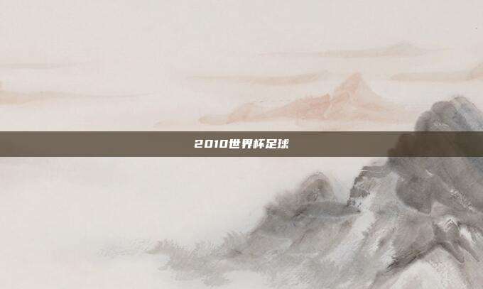 2010世界杯足球