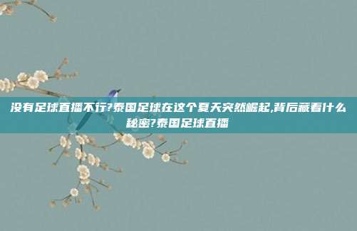 没有足球直播不行?泰国足球在这个夏天突然崛起,背后藏着什么秘密?泰国足球直播