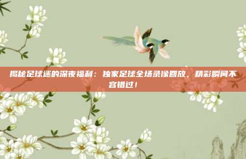 揭秘足球迷的深夜福利:独家足球全场录像回放,精彩瞬间不容错过!