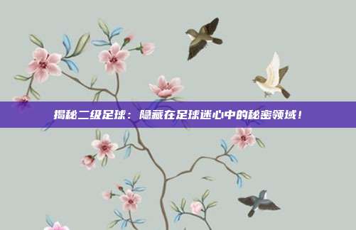 揭秘二级足球：隐藏在足球迷心中的秘密领域！