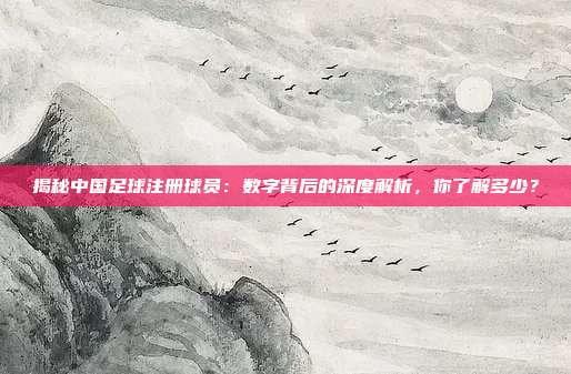 揭秘中国足球注册球员:数字背后的深度解析,你了解多少?