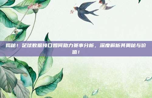 揭秘!足球数据接口如何助力赛事分析,深度解析其奥秘与价值!