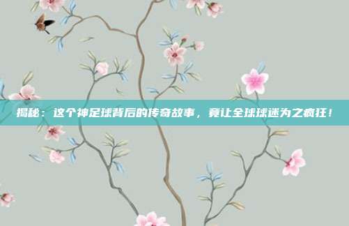 揭秘：这个神足球背后的传奇故事，竟让全球球迷为之疯狂！