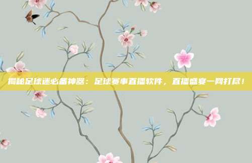 揭秘足球迷必备神器：足球赛事直播软件，直播盛宴一网打尽！