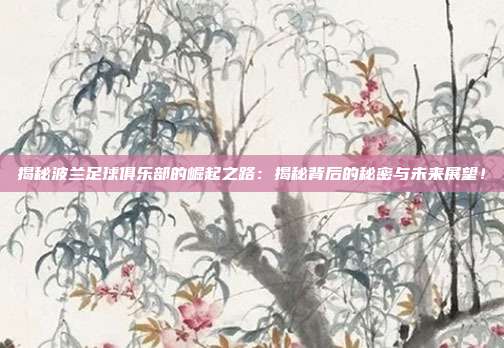 揭秘波兰足球俱乐部的崛起之路:揭秘背后的秘密与未来展望!