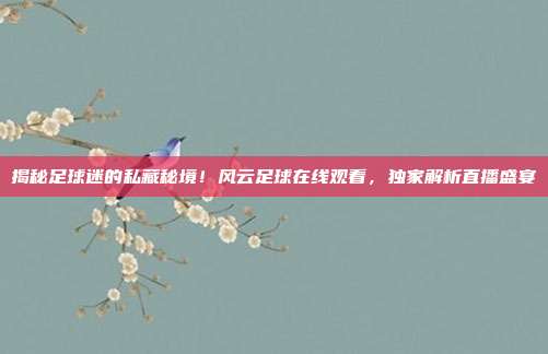 揭秘足球迷的私藏秘境!风云足球在线观看,独家解析直播盛宴