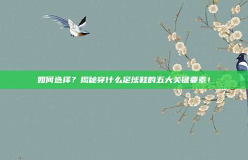 如何选择?揭秘穿什么足球鞋的五大关键要素!