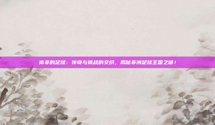 南非的足球:传奇与挑战的交织,揭秘非洲足球王国之谜!