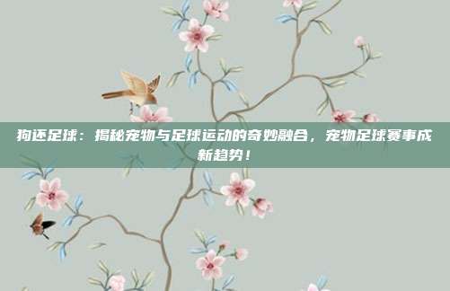 狗还足球：揭秘宠物与足球运动的奇妙融合，宠物足球赛事成新趋势！