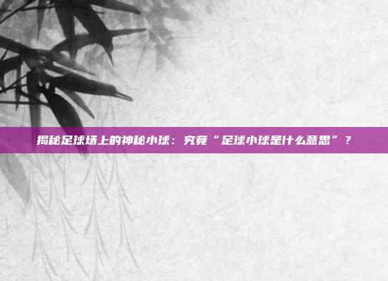 揭秘足球场上的神秘小球:究竟“足球小球是什么意思”?