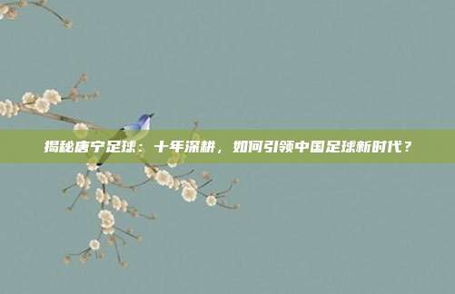 揭秘唐宁足球：十年深耕，如何引领中国足球新时代？