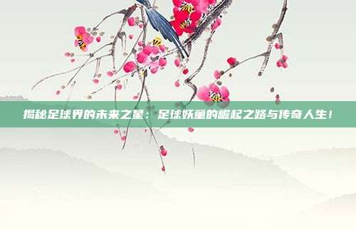 揭秘足球界的未来之星：足球妖童的崛起之路与传奇人生！