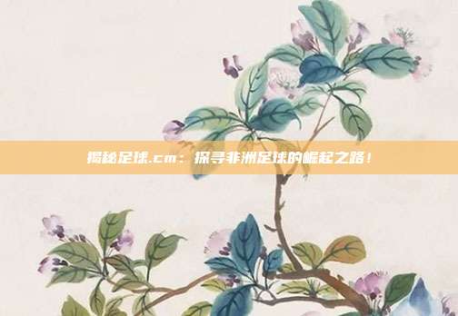 揭秘足球.cm：探寻非洲足球的崛起之路！