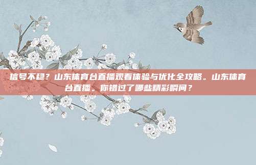 信号不稳？山东体育台直播观看体验与优化全攻略。山东体育台直播。你错过了哪些精彩瞬间？