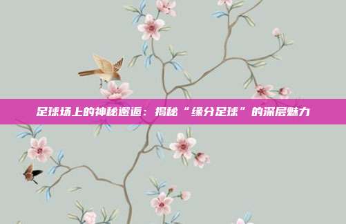 足球场上的神秘邂逅：揭秘“缘分足球”的深层魅力