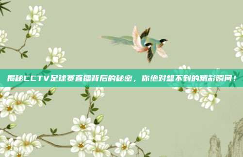 揭秘CCTV足球赛直播背后的秘密,你绝对想不到的精彩瞬间!