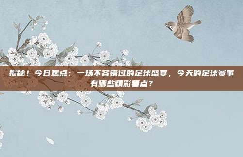 揭秘!今日焦点:一场不容错过的足球盛宴,今天的足球赛事有哪些精彩看点?