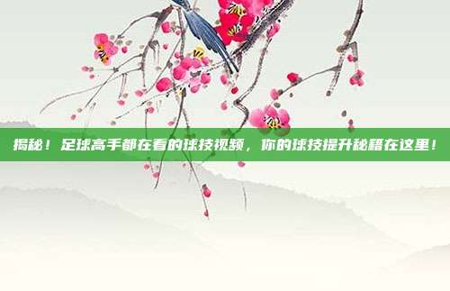 揭秘！足球高手都在看的球技视频，你的球技提升秘籍在这里！