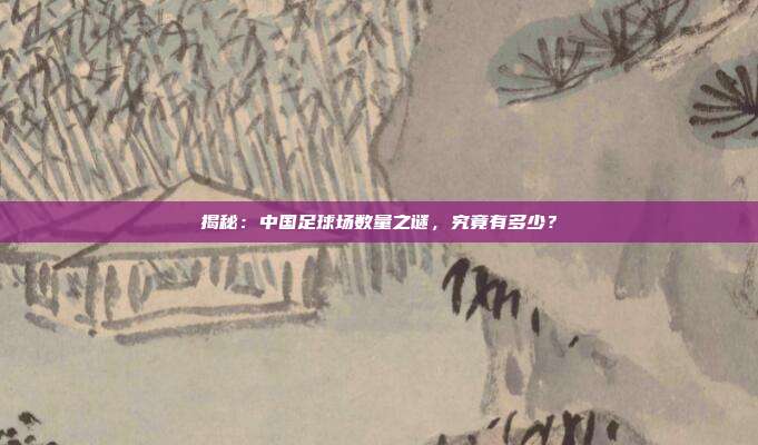 揭秘:中国足球场数量之谜,究竟有多少?