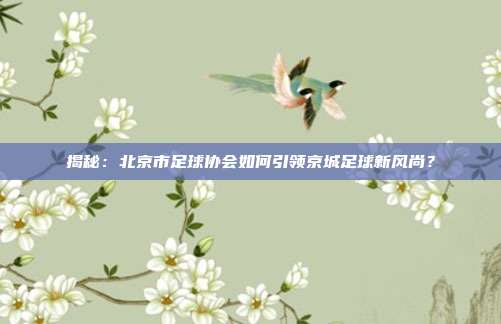 揭秘:北京市足球协会如何引领京城足球新风尚?